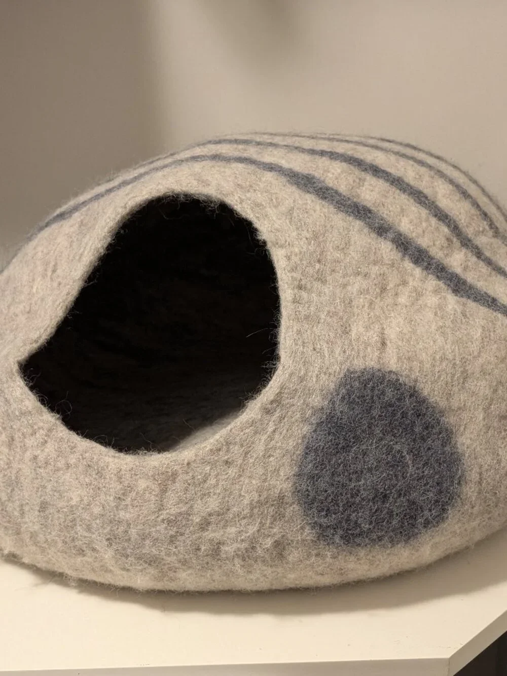 Cat Pod
